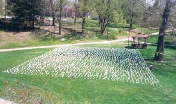 flag2003