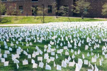 flagcloseup2003