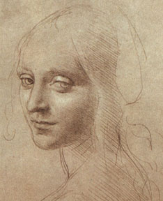 Leonardo Di Vinci sketch